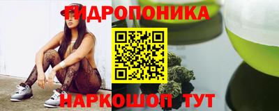 трава Аргун