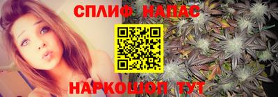 мяу мяу мука Гатчина