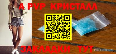 мяу мяу мука Гатчина