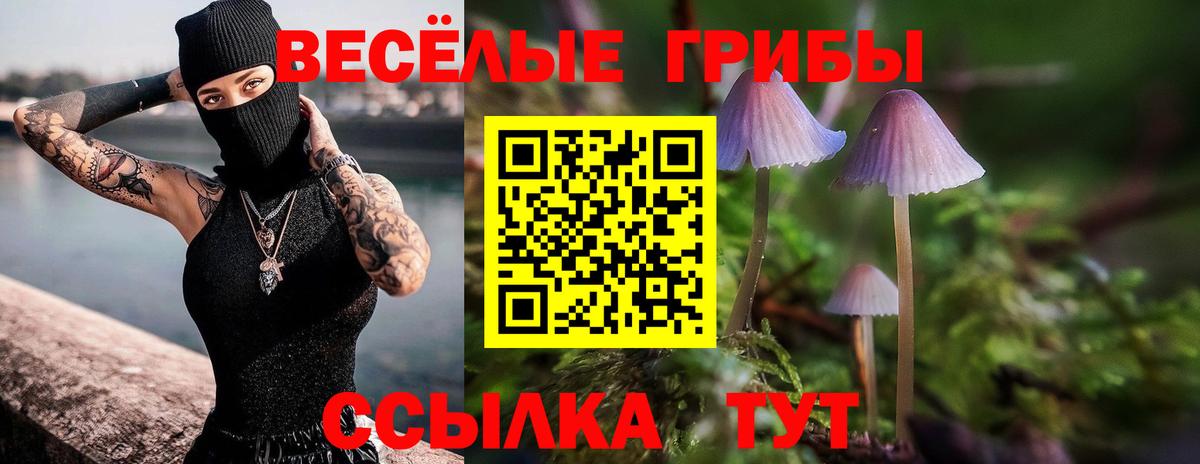 Шадринск  Галлюциногенные грибы мицелий  Галлюциногенные грибы ЛСД  Вход с VPN 