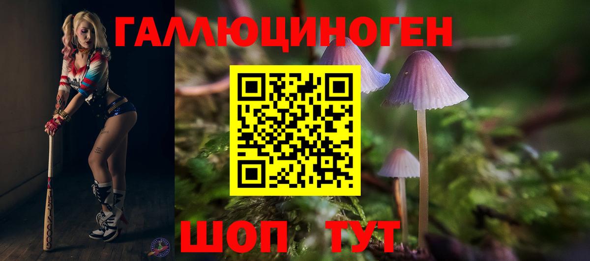 сколько стоит  Шадринск  Псилоцибиновые грибы Psilocybe 