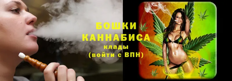 дарнет шоп  Шадринск  мориарти какой сайт  Марихуана LSD WEED 